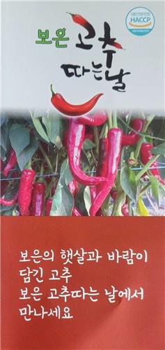 고추 향기 가득한 보은, '제1회 보은고추축제'로 '고추따러 가는 날' 알린다