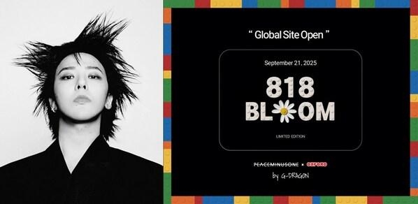 [PRNewswire] 알리익스프레스, 옥스포드의 '818 BLOOM' 온라인 독점 판매