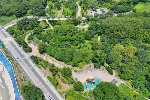 부산 남구, 산림청 주관 도시숲 우수사례 평가서 '장려상' 수상 쾌거