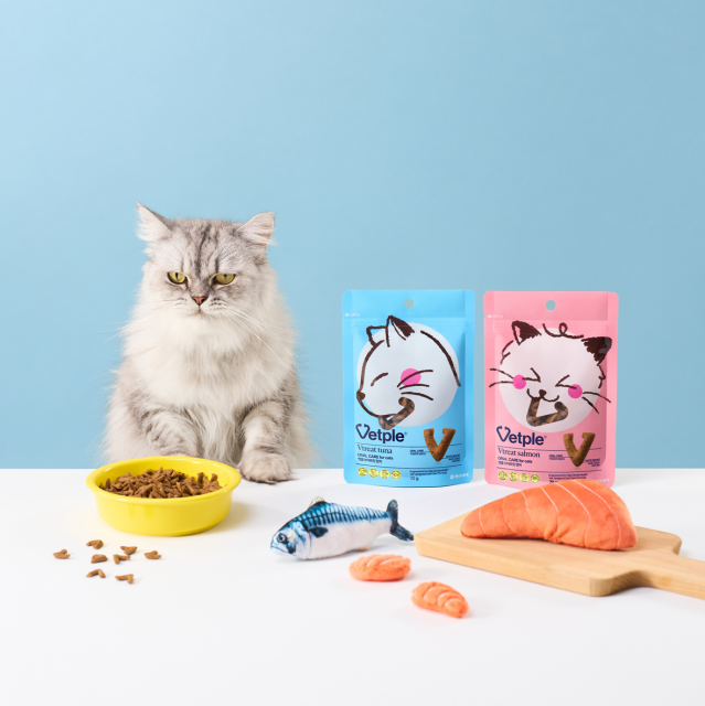 동아제약, 반려묘 구강관리 스낵 ‘벳플 브이트릿 2종’