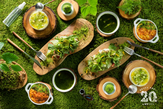 이끼를 감상하며 즐기는 ‘이끼 모닝'