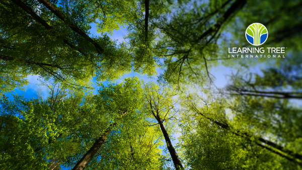 50년 이상 러닝트리 인터내셔널(Learning Tree International)은 AI, 기술 역량, 리더십, 사이버보안 등 다양한 분야의 교육을 제공하며 워크포스 전환(Workforce Transformation)의 신뢰받는 파트너로 자리해왔다
