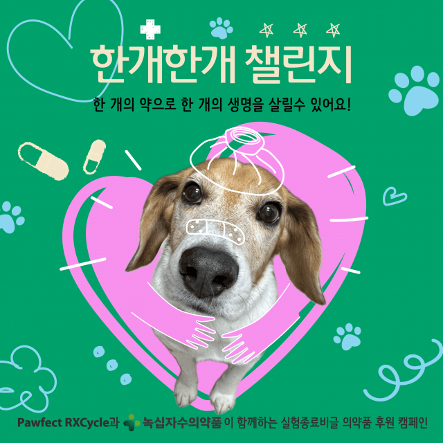 녹십자수의약품이 페이스튼국제학교 학생 프로젝트 ‘PawfectRxCycle’과 함께 실험종료 비글의 치료·회복을 돕기 위한 ‘한개한개 챌린지’를 12월 31일까지 진행한다고 밝혔다