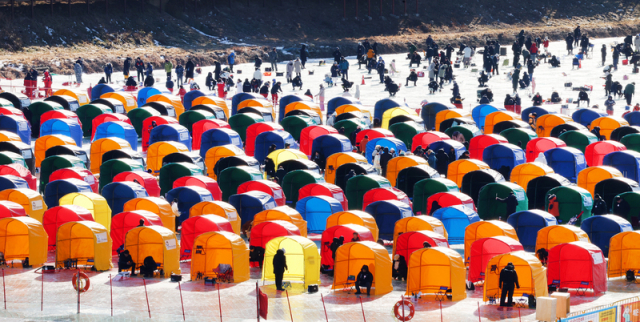 평창송어축제가 2026년 1월 9일 개막한다