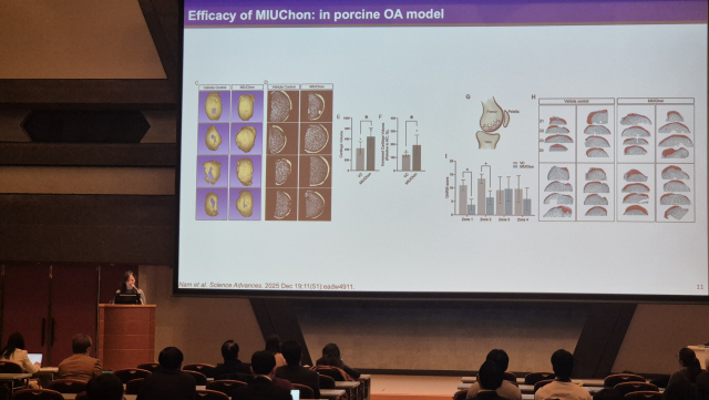 임예리 교수 발표 모습