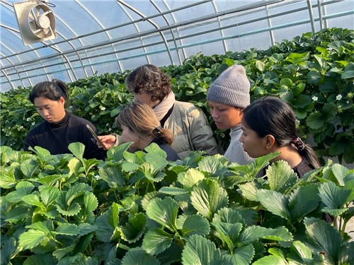 완주군, 외국인 계절근로자 현장 지원 총력