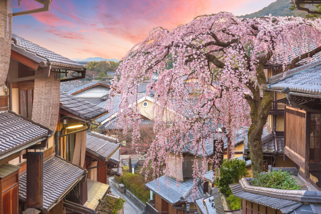 교토 히가야시야마 구역