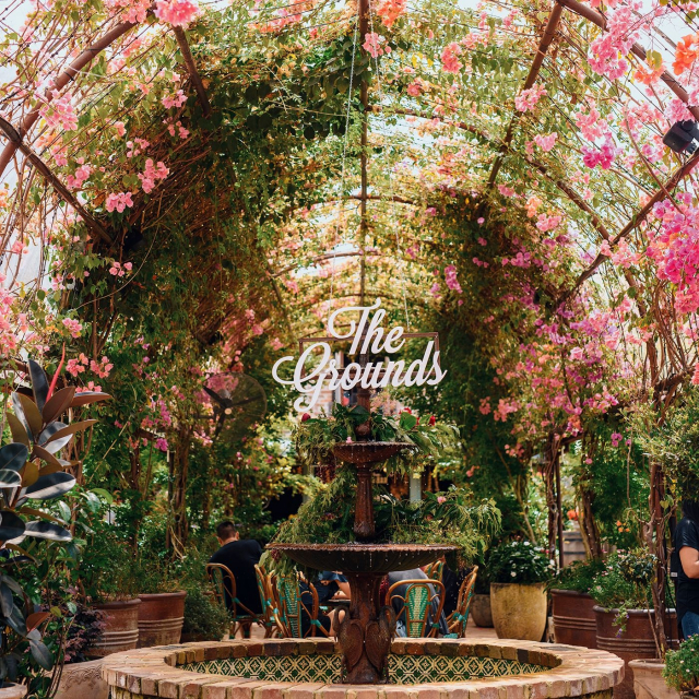 더 그라운즈 오브 알렉산드리아, 뉴사우스웨일즈