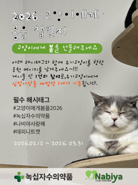 녹십자수의약품, 유기묘 건강권 보호를 위한 기부 캠페인 ‘고양이에게 봄을 2026’ 진행