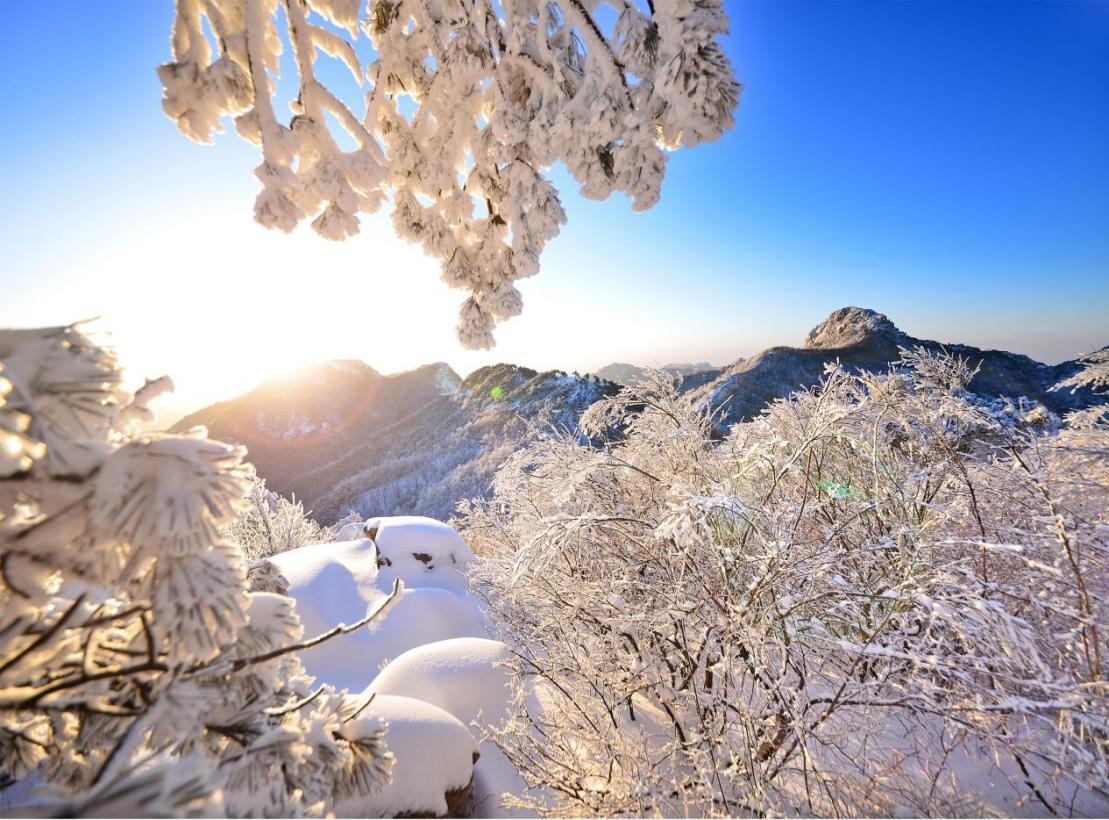 [AsiaNet] 산둥성 린이 멍산, 안개와 얼음꽃이 어우러진 겨울 동화로 변신
