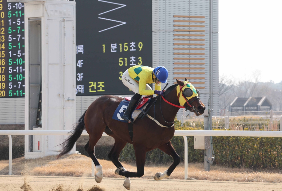 차분해서 더 강한 '강심장' 진겸 기수, 통산 300승 쾌거