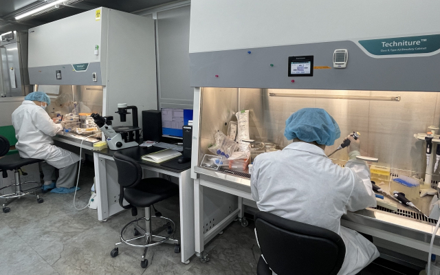 셀레브레인의 동종 줄기세포 기반 항암 치료제 후보물질 ‘CB11’이 미국 식품의약국(FDA)으로부터 희귀의약품 지정을 받았다(사진=셀레브레인)