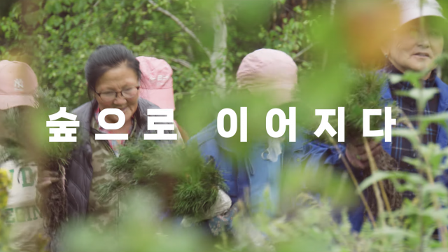 세계 숲의 날을 맞아 UNDP 서울정책센터가 공개한 ‘숲으로 이어지다’ 영상은 몽골 산림 보호와 복원 현장을 담고 있다