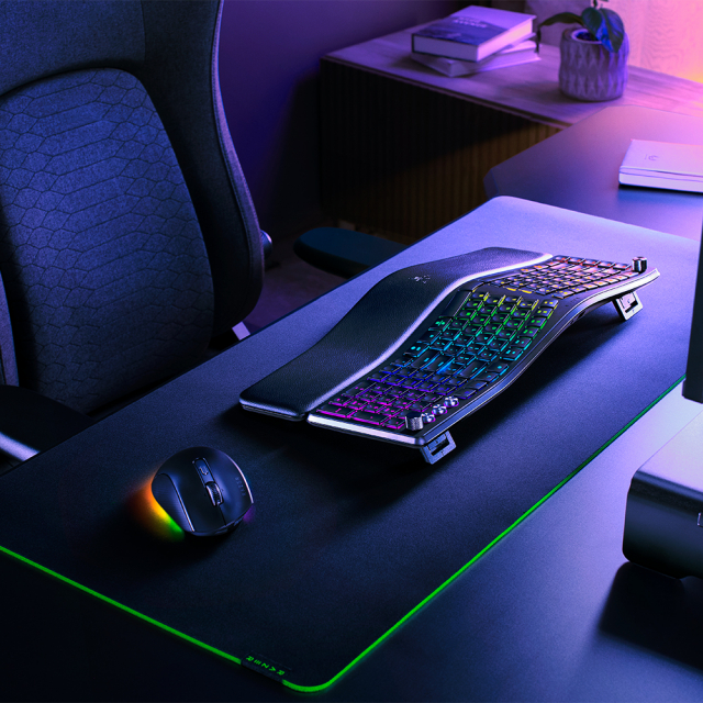 RAZER Pro Type Ergo
