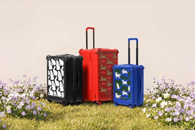 키티버니포니 x 케이스티파이 트래블