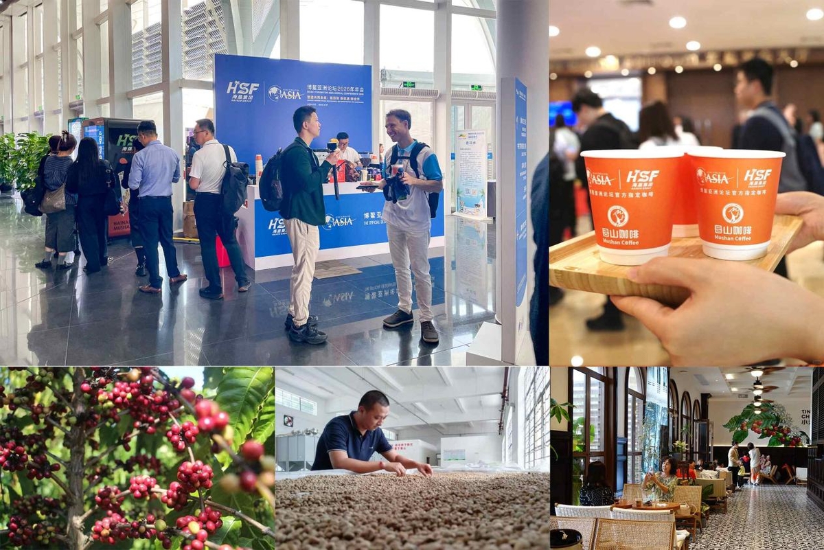 [AsiaNet] 글로벌 커피 원두, 중국 하이난에서 독특한 색채를 입다