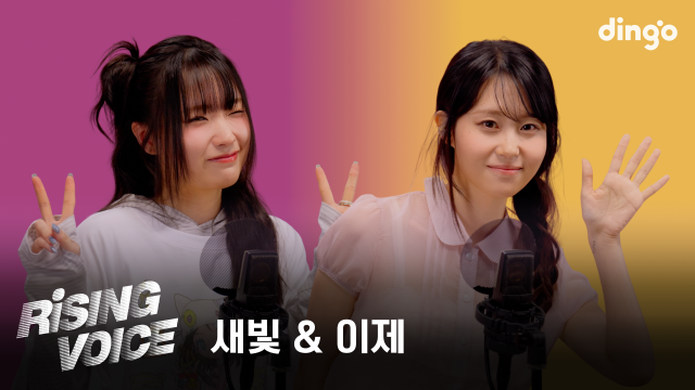 딩고 라이징보이스 섬네일