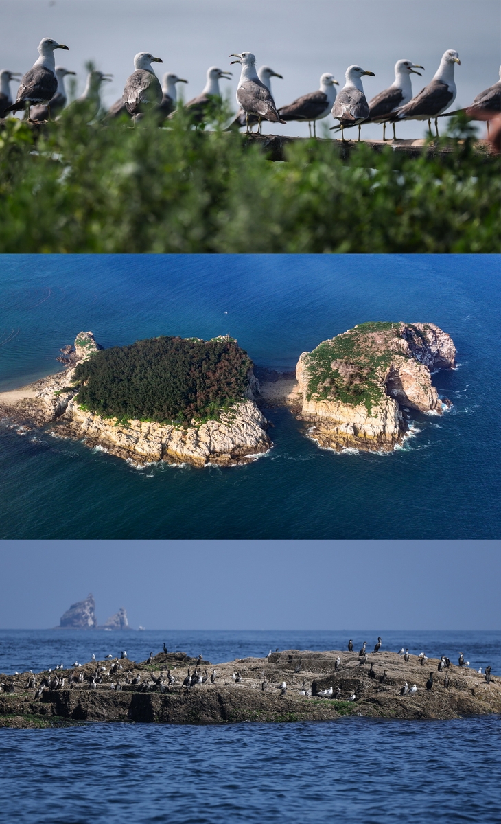 [AsiaNet] 다롄 창산다오, 철새 서식지로 세계자연유산 등재 성공